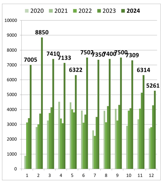 Nombre de pages consultées par mois sur le site